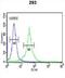 Dermcidin antibody, abx032955, Abbexa, Flow Cytometry image 