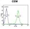 Complement Factor Properdin antibody, abx034581, Abbexa, Flow Cytometry image 