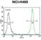 PRAME Family Member 8 antibody, abx026658, Abbexa, Flow Cytometry image 