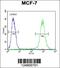 Fibroblast Growth Factor 9 antibody, 55-089, ProSci, Immunofluorescence image 