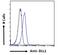 Delta Like Canonical Notch Ligand 1 antibody, 46-984, ProSci, Western Blot image 