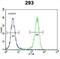 Aquaporin 11 antibody, abx032621, Abbexa, Flow Cytometry image 