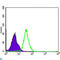 Nuclear Factor Kappa B Subunit 1 antibody, LS-C814033, Lifespan Biosciences, Immunohistochemistry paraffin image 
