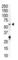 PIP5K1AP 5 Kinase alpha PIP5KI alpha Phosphatidylinositol 4 phosphate 5 kinase Type I alpha 68kD Typ antibody, abx033836, Abbexa, Western Blot image 
