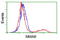 Metabolism Of Cobalamin Associated B antibody, LS-C172505, Lifespan Biosciences, Flow Cytometry image 