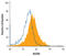 MYD88 Innate Immune Signal Transduction Adaptor antibody, AF3109, R&D Systems, Flow Cytometry image 