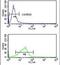 DNA Polymerase Epsilon 3, Accessory Subunit antibody, PA5-14201, Invitrogen Antibodies, Flow Cytometry image 