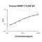 Matrix Metallopeptidase 7 antibody, EK0463, Boster Biological Technology, Enzyme Linked Immunosorbent Assay image 