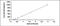 Interferon Beta 1 antibody, MBS2020385, MyBioSource, Enzyme Linked Immunosorbent Assay image 