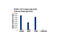 Early Growth Response 1 antibody, 4153S, Cell Signaling Technology, Chromatin Immunoprecipitation image 