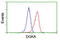 Diacylglycerol Kinase Alpha antibody, LS-C173602, Lifespan Biosciences, Flow Cytometry image 