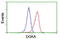 DGK-alpha antibody, LS-C173602, Lifespan Biosciences, Flow Cytometry image 