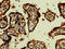 CD46 Molecule antibody, LS-C369391, Lifespan Biosciences, Immunohistochemistry paraffin image 