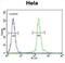 Unk Zinc Finger antibody, abx026077, Abbexa, Flow Cytometry image 