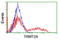 TRNA Methyltransferase 2 Homolog A antibody, LS-C174402, Lifespan Biosciences, Flow Cytometry image 