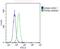 Ribosomal Protein S10 antibody, PA5-72303, Invitrogen Antibodies, Flow Cytometry image 