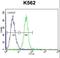 Serpin Family B Member 4 antibody, LS-C161433, Lifespan Biosciences, Flow Cytometry image 