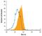 Wnt Family Member 9A antibody, MAB3157, R&D Systems, Flow Cytometry image 