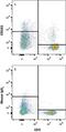 Killer Cell Lectin Like Receptor B1 antibody, NB100-65297, Novus Biologicals, Flow Cytometry image 