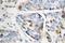 Lamin A/C antibody, LS-C177805, Lifespan Biosciences, Immunohistochemistry frozen image 