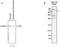 Tetratricopeptide repeat protein 37 antibody, NBP2-59165, Novus Biologicals, Western Blot image 