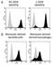 CD209 Molecule antibody, DDX0209A488, Novus Biologicals, Flow Cytometry image 