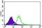 G Protein Nucleolar 3 antibody, NBP2-37410, Novus Biologicals, Flow Cytometry image 