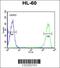 Killer Cell Immunoglobulin Like Receptor, Two Ig Domains And Short Cytoplasmic Tail 3 antibody, 62-042, ProSci, Flow Cytometry image 