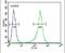 Glucosamine (N-Acetyl)-6-Sulfatase antibody, PA5-13516, Invitrogen Antibodies, Flow Cytometry image 