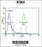 IQ Motif Containing J antibody, 55-502, ProSci, Immunofluorescence image 