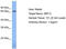 GIOT3 antibody, TA339856, Origene, Western Blot image 