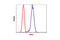 Ezrin antibody, 3145S, Cell Signaling Technology, Flow Cytometry image 