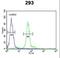 Protein-lysine 6-oxidase antibody, LS-C165844, Lifespan Biosciences, Flow Cytometry image 