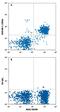 Carcinoembryonic Antigen Related Cell Adhesion Molecule 1 antibody, FAB6480G, R&D Systems, Flow Cytometry image 