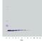 C-X-C Motif Chemokine Ligand 16 antibody, XP-5117, ProSci, Western Blot image 