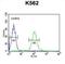 UBA Domain Containing 1 antibody, abx032492, Abbexa, Flow Cytometry image 