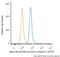 Actin Alpha 2, Smooth Muscle antibody, NBP2-34522AF700, Novus Biologicals, Flow Cytometry image 