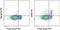 Leucine Rich Repeat Containing 32 antibody, 12-9882-41, Invitrogen Antibodies, Flow Cytometry image 