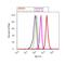 DISC1 Scaffold Protein antibody, 40-6900, Invitrogen Antibodies, Flow Cytometry image 