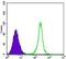 Sirtuin 1 antibody, NBP1-51641, Novus Biologicals, Flow Cytometry image 