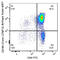 C-X-C Motif Chemokine Receptor 4 antibody, 146519, BioLegend, Flow Cytometry image 