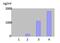 Matrix Metallopeptidase 12 antibody, DDX0281P-100, Novus Biologicals, Enzyme Linked Immunosorbent Assay image 