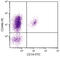CD49D antibody, 99-387, ProSci, Immunohistochemistry paraffin image 