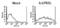 TNF Superfamily Member 13 antibody, ALX-804-148-C100, Enzo Life Sciences, Flow Cytometry image 