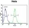 AKT Serine/Threonine Kinase 2 antibody, LS-C98941, Lifespan Biosciences, Flow Cytometry image 