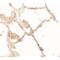Transcription factor EB antibody, TA326618, Origene, Immunohistochemistry paraffin image 