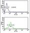 Estrogen Related Receptor Beta antibody, PA5-26070, Invitrogen Antibodies, Flow Cytometry image 