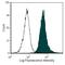 Class I histocompatibility antigen, Non-RT1.A alpha-1 chain antibody, MA5-17408, Invitrogen Antibodies, Flow Cytometry image 