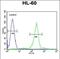 Complement C1q C Chain antibody, PA5-35084, Invitrogen Antibodies, Flow Cytometry image 