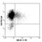 Lymphotoxin Alpha antibody, 503105, BioLegend, Immunocytochemistry image 